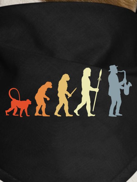 Saxophonist Evolution