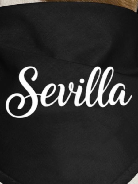 Sevilla Handlettering Script