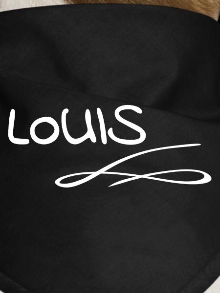 Name Louis