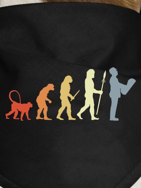 Évolution de l’architecte