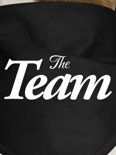 The Team