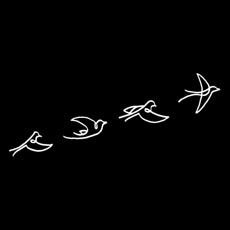 Le vol de l'oiseau blanc