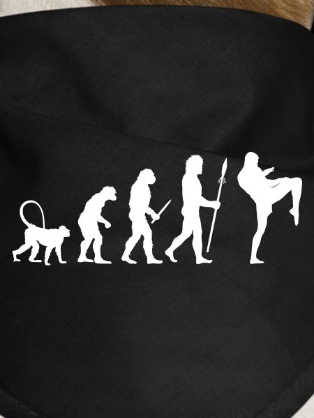 Development of a kickboxer