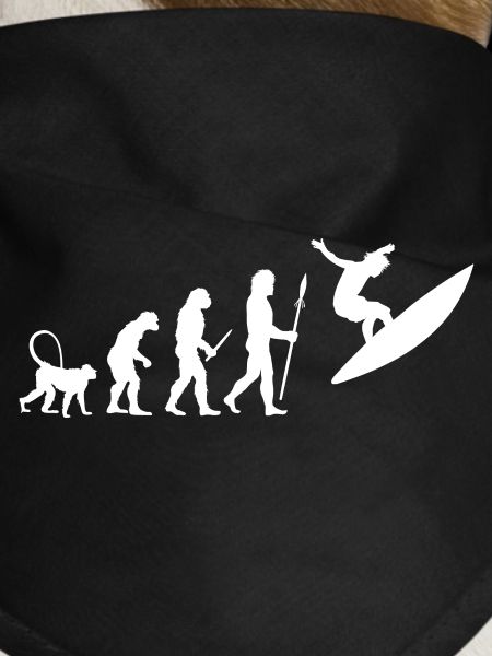 Évolution du surf