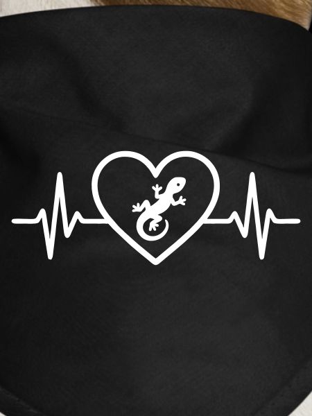 Herz-Eidechse