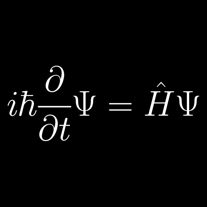 Le chat de Schrödinger
