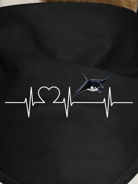 Rochen Mantarochen
