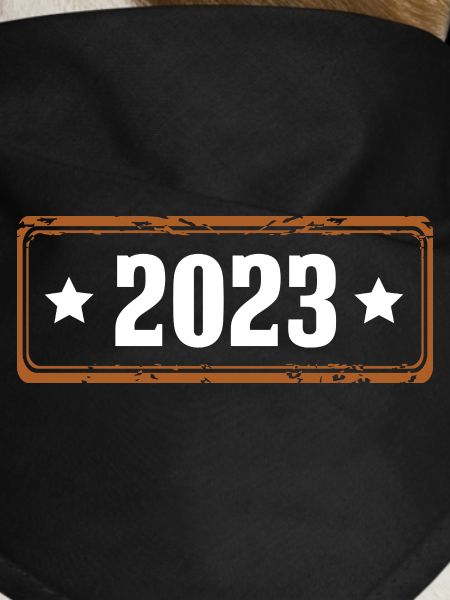 2023 year