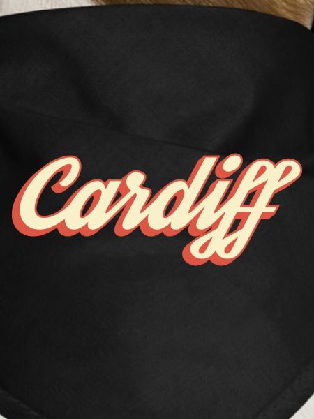Cardiff Retro Script Logo