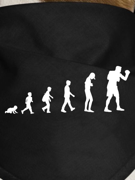 Evolution from baby to boxer