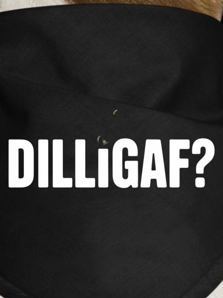DILLIGAF Humor Spruch Sarkasmus Statement