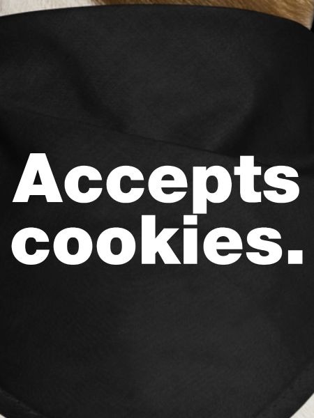 Accepts cookies