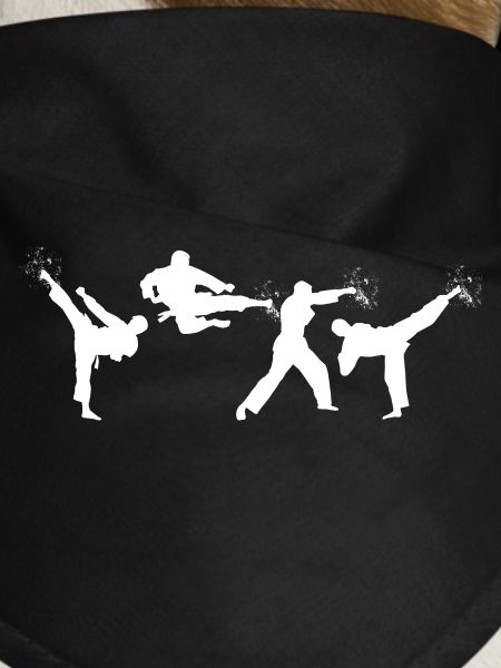Funny Karateka