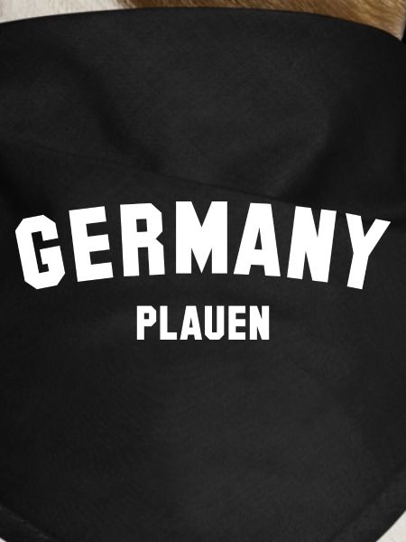 PLAUEN Germany