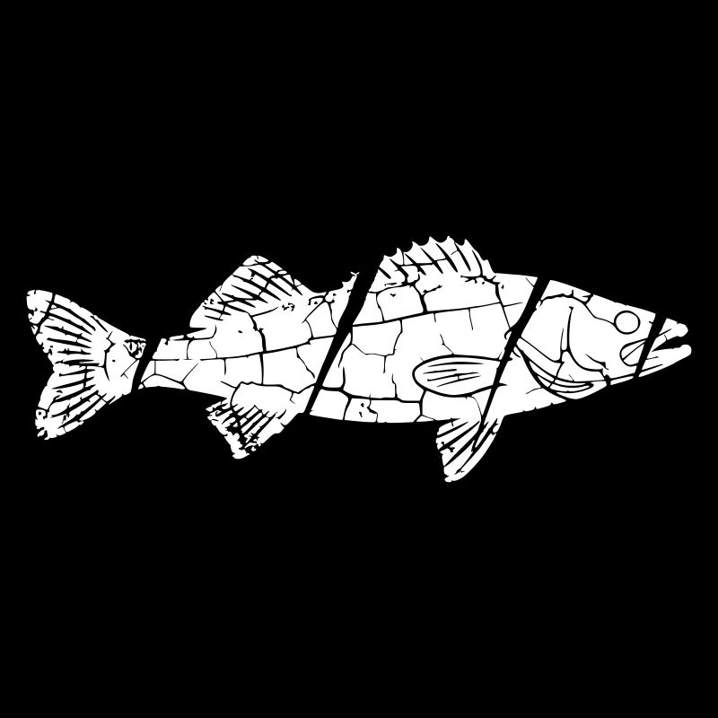 Big Zander Fish Catch Vector