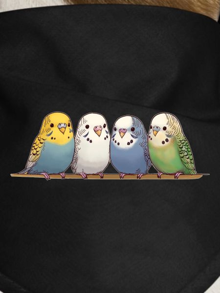 Funny budgies