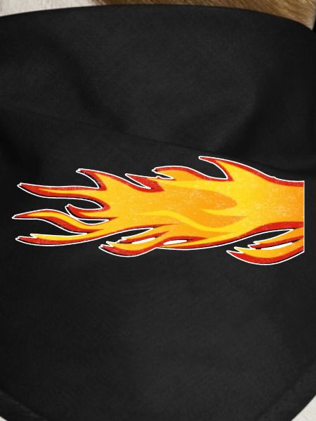 Flame Burning Tail Exhaust