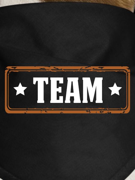 team