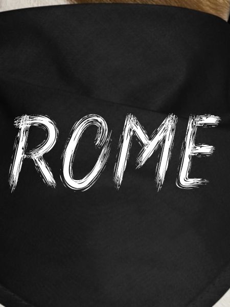 Rome Graphic Brush Lettering