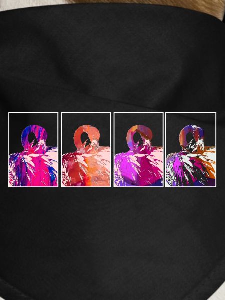 Flamingos