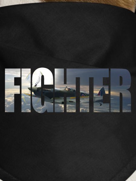 Fighter Spitfire