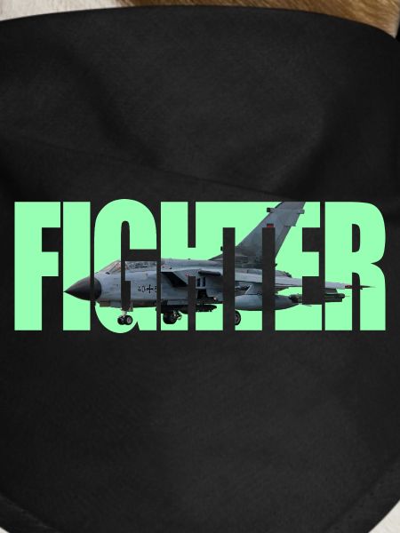 Fighter Tornado