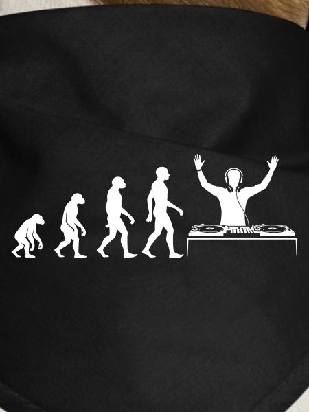 Evolution zum DJ mit Turntable