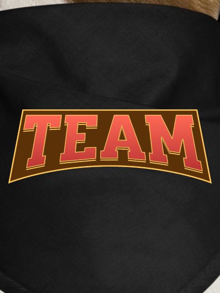 Team