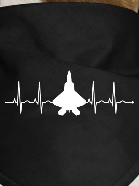 Air Force Birthday