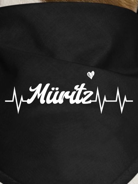 Heartbeat Müritz