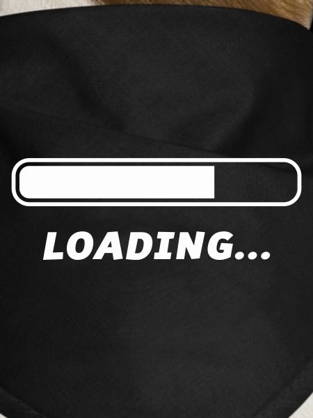 Loading