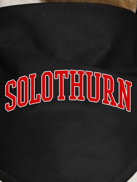 Slothurn College Arc