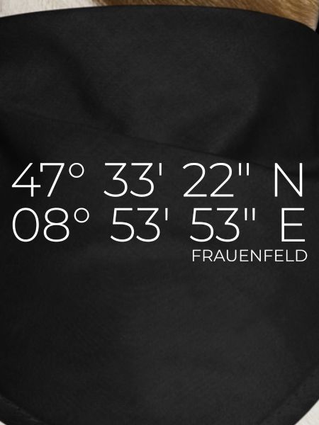 Coordinates Frauenfeld