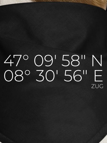 Train coordinates