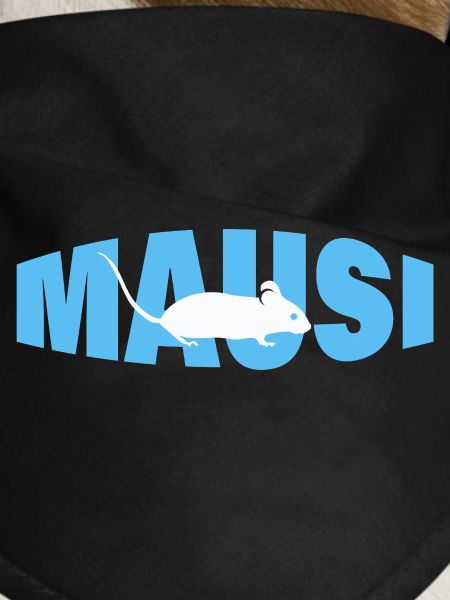 Mausi