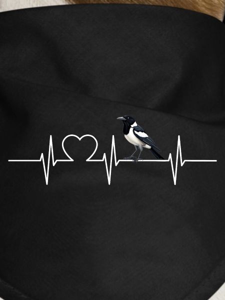 Magpies Magpie