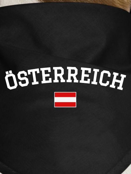 Austria Flag Design White