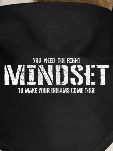 Mindset