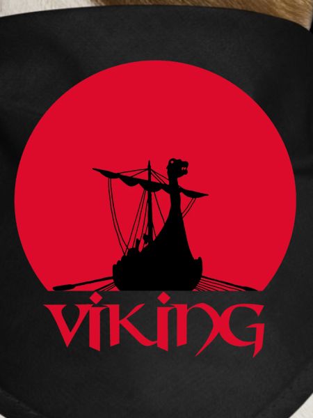 Wikinger-Langschiff