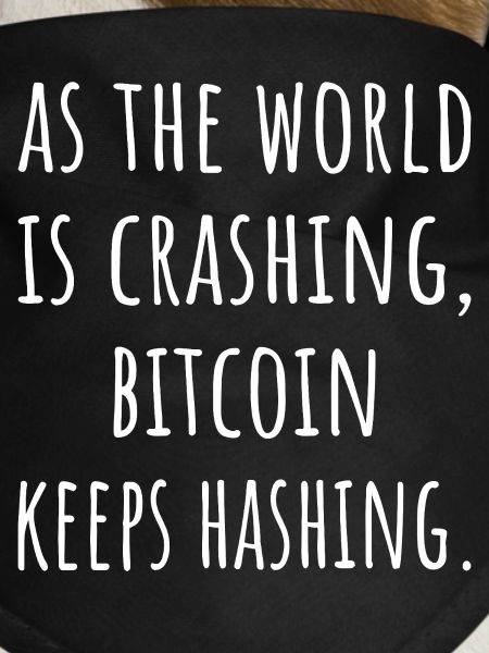 Cotations Bitcoin Devis Crypto