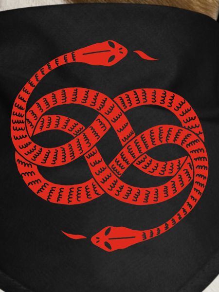 Infinite Red Snakes