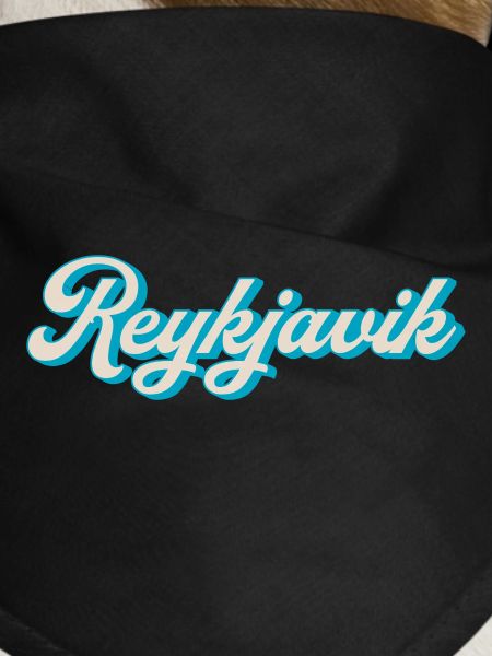 Reykjavik Neon Script