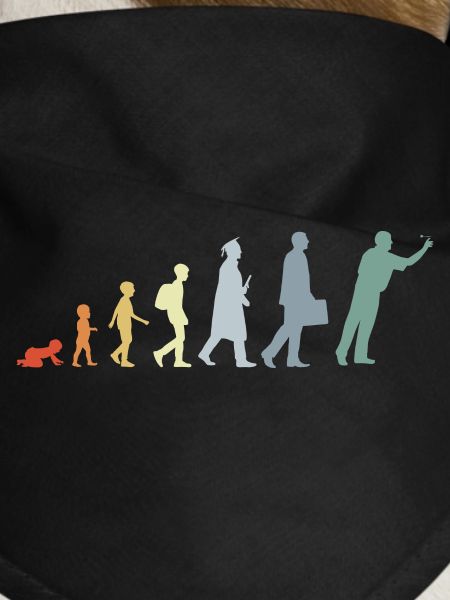 Évolution du dard