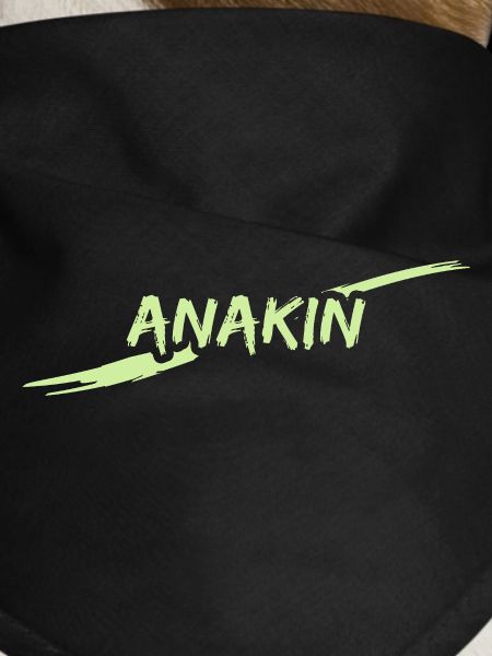 Anakin