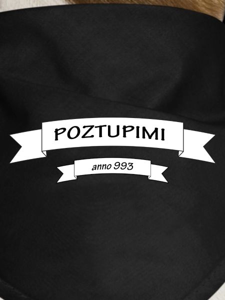 Poztupimi 993