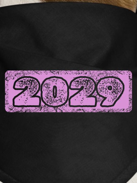 Année 2029
