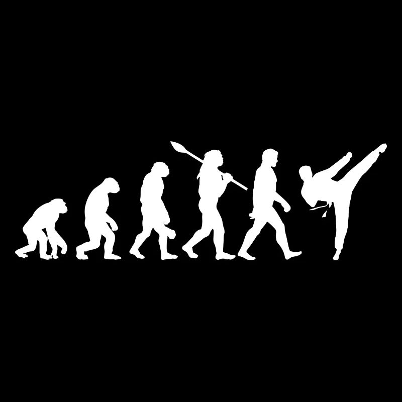 Évolution, Combat, Judo, Karate, MMA, Taekwondo