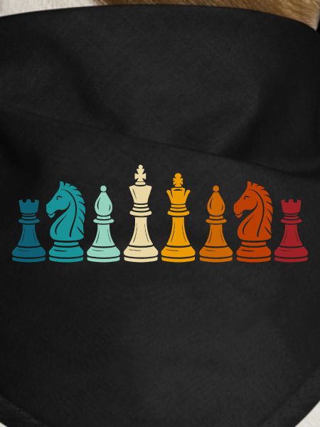 Rainbow Chess Game Pieces