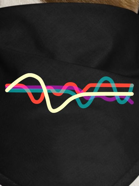 Lines