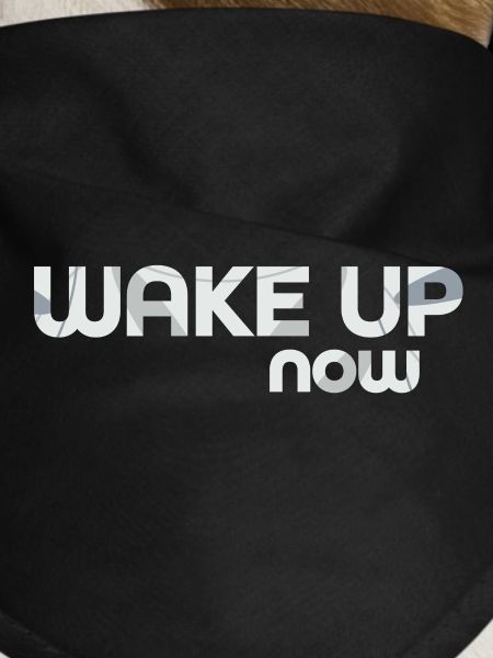 Wake up now